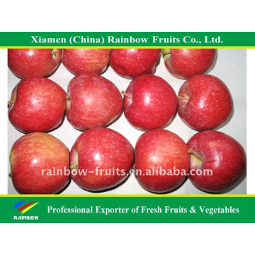 Fresh Chinese Huaniu Apple/Red Apple